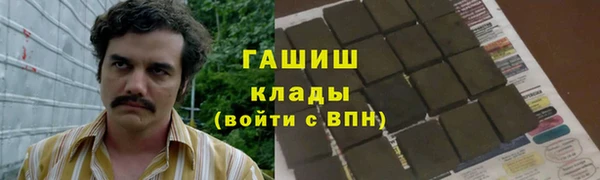 гидра Верхний Тагил